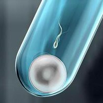 昆明试管私立医院排名出炉，内含详细助孕机构地址