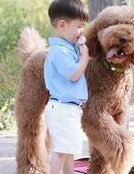 试管婴儿促排卵期间，为什么要反复抽血？