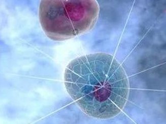 试管婴儿健康管理（试管婴儿健康状况和普通婴儿一样吗）