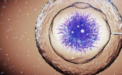 试管婴儿双胎成功率多高注意哪些事项